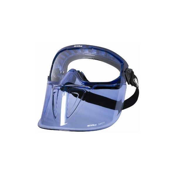 Bolle blue goggles and face shield